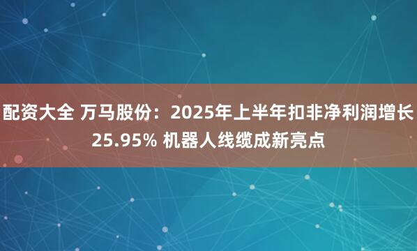 配资大全 万马股份：2025年上半年扣非净利润增长25.95% 机器人线缆成新亮点